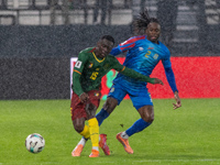 Сборная Камеруна не едет на чемпионат мира. Результаты матчей