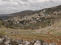 Армия и полиция не пропустили сотни пропалестинских активистов в закрытую военную зону