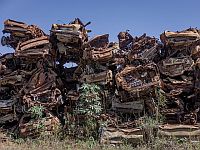 Война с ХАМАСом и расследования. Опрос Newsru.co.il Война с ХАМАСом и расследования. Опрос Newsru.co.il