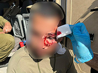 Снос незаконных построек в Гуш-Эционе: шесть человек задержаны, несколько пограничников ранены