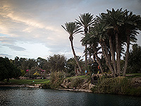 Средневековые туннели под парком Ган Ха-Шлоша раскрыли секреты сахарной индустрии мамлюков Средневековые туннели под парком Ган Ха-Шлоша раскрыли секреты сахарной индустрии мамлюков