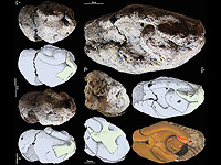 Различные виды 12 000-летней натуфийской глиняной фигурки из ущелья Эйн-Гев II с техническими и художественными чертежами Различные виды 12 000-летней натуфийской глиняной фигурки из ущелья Эйн-Гев II с техническими и художественными чертежами