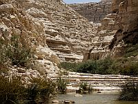 В заповеднике Эйн-Авдат погиб 19-летний Офер Брунер