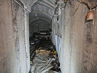 ЦАХАЛ: за 24 часа в Рафиахе ликвидированы 11 и арестованы шесть террористов