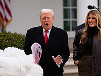 Трамп помиловал двух индеек в честь Дня благодарения