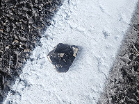 Беспорядки в Рамат-Гане: харедим помешали военной полиции арестовать уклониста
