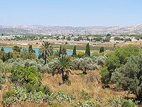 В Мево-Хороне загорелись несколько построек В Мево-Хороне загорелись несколько построек