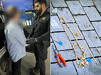 70-летний квартирный вор арестован в Тель-Авиве, у него изъяты ювелирные изделия