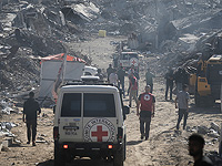 Израиль готовится принять для экспертизы найденные в Газе образцы