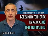Операция в Восточном Рафиахе: тактика, ставшая стратегией. Комментарий Давида Шарпа