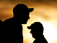 Наши мозги действительно Наши мозги действительно