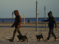 Ученые утверждают, что наличие собаки может улучшить психическое здоровье подростков Ученые утверждают, что наличие собаки может улучшить психическое здоровье подростков