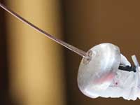 Фехтование. Израильтяне завоевали пять медалей в Канаде