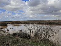 В Израиле – зимние дожди с грозами и градом, из-за наводнений перекрыты некоторые трассы
