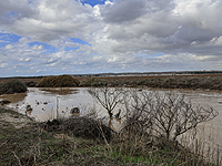 В Израиле – зимние дожди с грозами и градом, из-за наводнений перекрыты некоторые трассы В Израиле – зимние дожди с грозами и градом, из-за наводнений перекрыты некоторые трассы