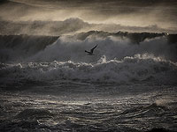 Пассажиры пропавшей израильской яхты – жители Галилеи