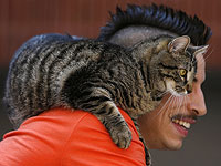 Кошки мяукают на мужчин вдвое чаще, чем на женщин. Новое исследование