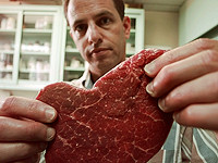 Believer Meat из Реховота, мобилизовавшая $347 млн на культивирование мяса, прекращает деятельность