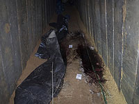 Шестеро заложников зажигают ханукальные свечи: в сети распространили видео погибших