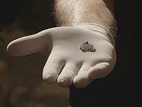 Менора в запретном для евреев городе. Находка в Иерусалиме
Менора в запретном для евреев городе. Находка в Иерусалиме