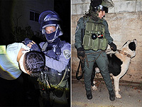 Арестован палестинец, укравший собаку-терапевта и вымогавший выкуп за нее