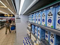 Минфин обещает снижение цены сырого молока на 15%, но не все молочные продукты подешевеют