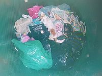 Житель Пардес-Ханы задержан за то, что он выбросил в мусорный бак живую собаку