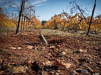 Правительство выделило миллиард шекелей на восстановление природы вдоль границы с Ливаном