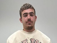 Полиция подтвердила арест ключевого подозреваемого в убийстве Даниэля Аслана