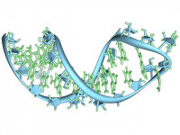 Вирусный переключатель открывает новый путь для борьбы с супербактериями