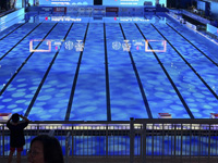 Плавание. Установлен рекорд Израиля