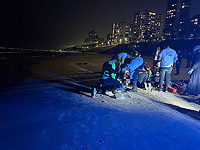 На пляже в Бат-Яме из воды вытащили женщину, ее состояние критическое