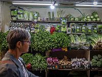 О газовой сделке с Египтом, сильном шекеле и дороговизне жизни в Израиле. Экономический обзор