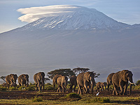 На Килиманджаро разбился вертолет санитарной эвакуации, погибли пять человек