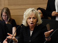 Баарав-Миара: Кнессет используется правительством для вмешательства в уголовные дела