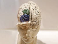 Ученые раскрыли скрытые карты мозга, благодаря которым эмпатия ощущается физически