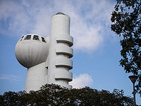 Израильские ученые показали, как половые гормоны у женщин управляют циркадными ритмами