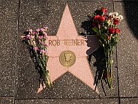 Дональд Трамп объяснил смерть Роба Райнера 