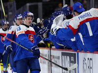 Молодежный чемпионат мира по хоккею. Тренеру сборной Словакии шайба попала в лоб