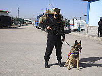 На западе Турции трое полицейских погибли в столкновении с ИГ