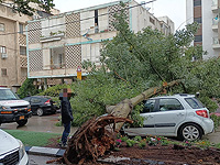 Упавшие деревья, затопления, обвалы: в разных городах Израиля фиксируют результат дождя
