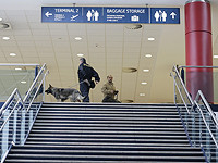 Две израильские туристки задержаны в аэропорту Праги с 96 кг ката