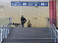 Две израильские туристки задержаны в аэропорту Праги с 96 кг ката Две израильские туристки задержаны в аэропорту Праги с 96 кг ката