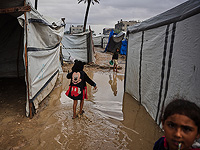 Главы МИД девяти западных стран и Японии: 