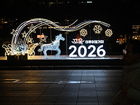 Мир встречает новый 2026 год