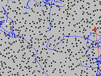 Израильские ученые обнаружили 