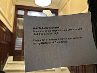 В США убит ученый-физик Нуну Лорейру