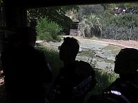 Ynet: Сотрудники ШАБАС начали учиться обращению с крокодилами