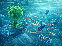 Вирусы в пластиковых отходах могут незаметно ускорить распространение устойчивости к антибиотикам