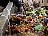 Израиль ежегодно теряет на выбрасываемых пищевых продуктах около 26 млрд шекелей